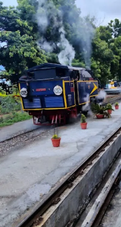 Ooty Toy Train Travel