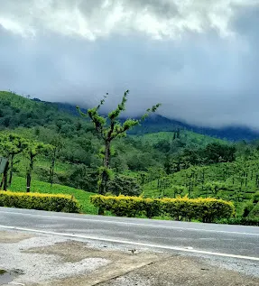 Valparai Tourist Places