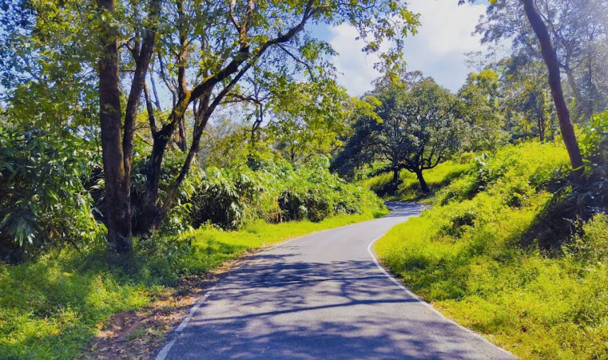 A Scenic Journey: Road Tripping from Valparai to Athirappilly Falls