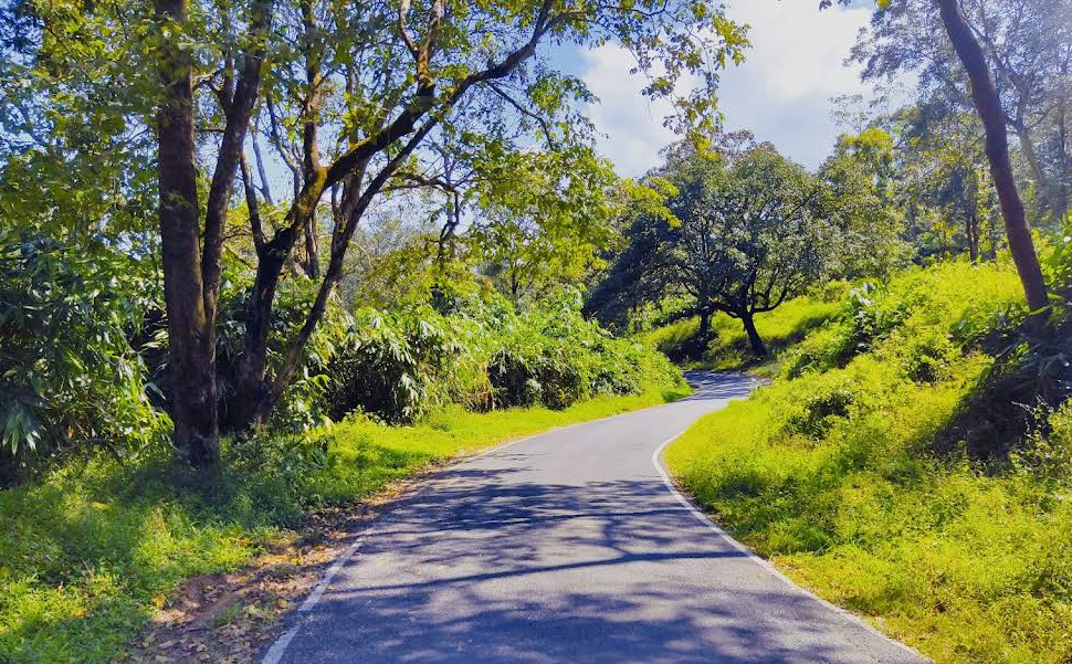 Valparai to Athirappilly Waterfalls